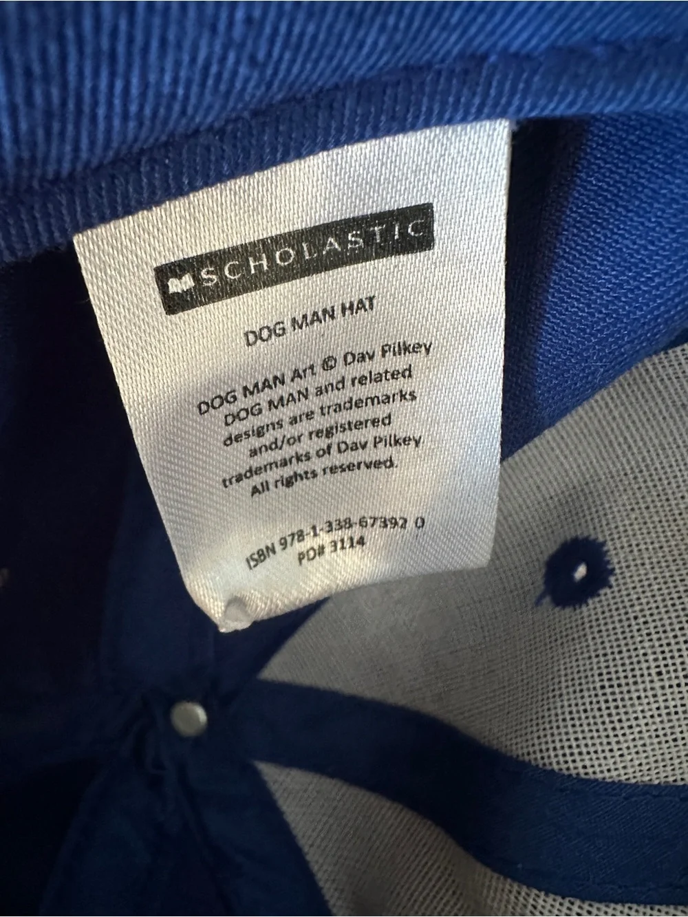 Scholastic Dog Man Hat Blue Youth Adjustable Snapback Graphic Cap